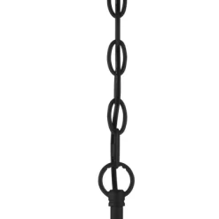 Possini Euro Design Black Silver Pendant Chandelier 15 1/4" Wide Modern Clear Crystal Flower Vine 4-Light Fixture For Dining Room House 10 Possini Euro Design Black Silver Pendant Chandelier 15 1/4" Wide Modern Clear Crystal Flower Vine 4-Light Fixture For Dining Room House -Possini Euro Design Sales GUEST 0968021f 6ad7 459f a04b 3f9610a117c1